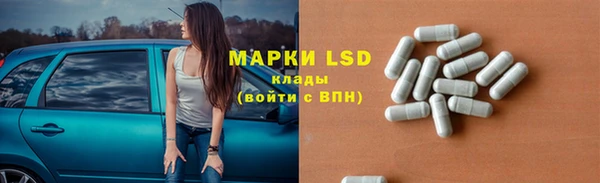 прущие грибы Бородино