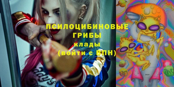 ГАЛЛЮЦИНОГЕННЫЕ ГРИБЫ Беломорск