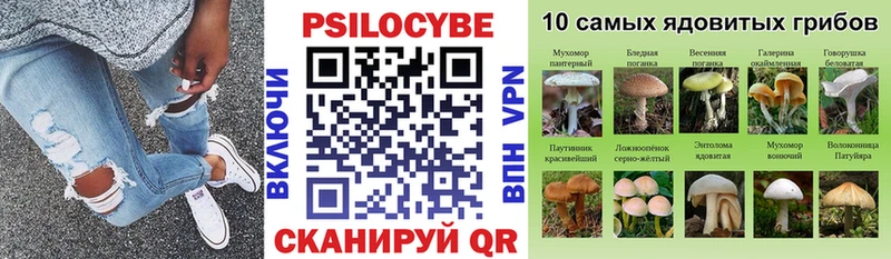 Псилоцибиновые грибы GOLDEN TEACHER гидра ONION Бугульма